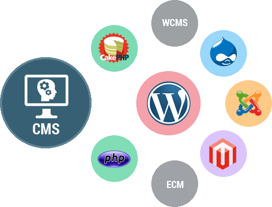 CMS Website Development Company Noida